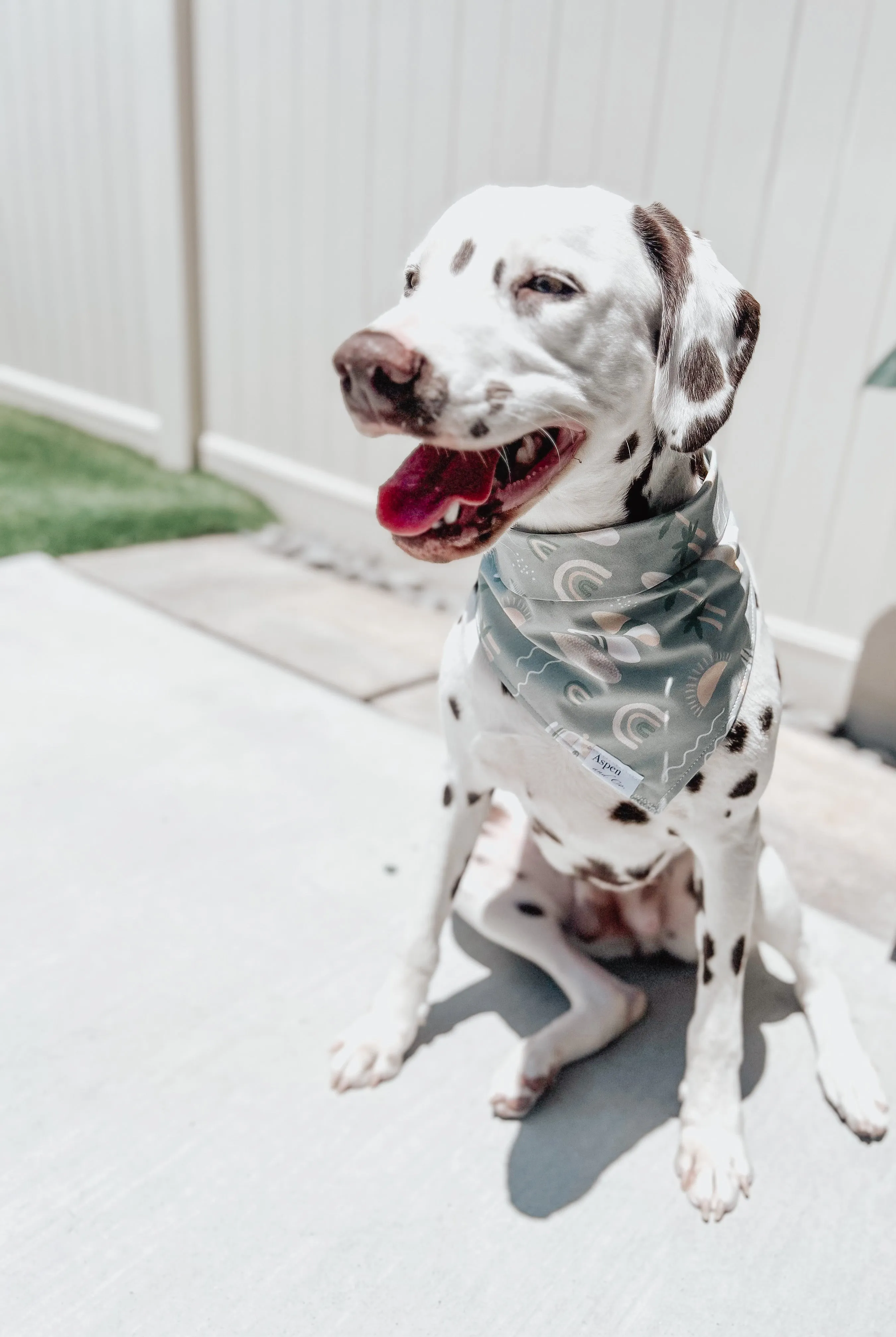 Boho Beach Dog Bandana (Green)- Summer Collection
