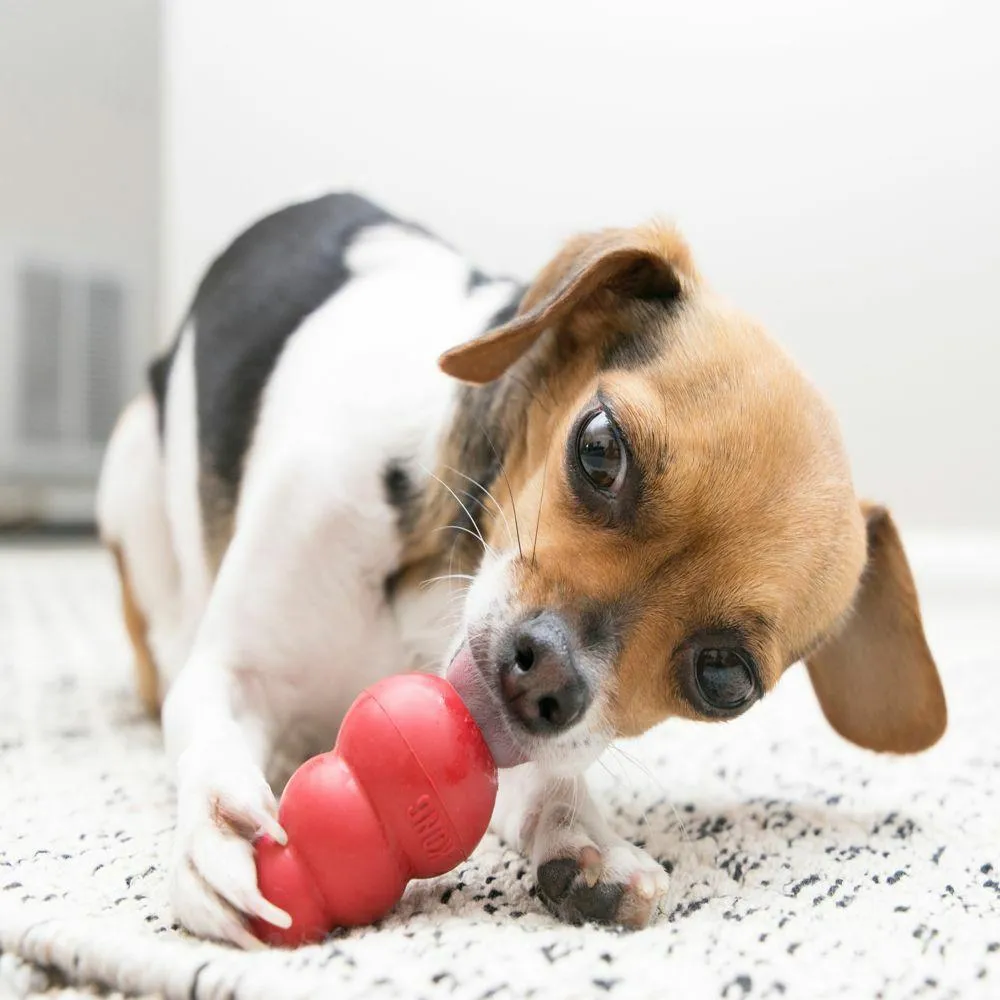 Kong Classic Chew Toys