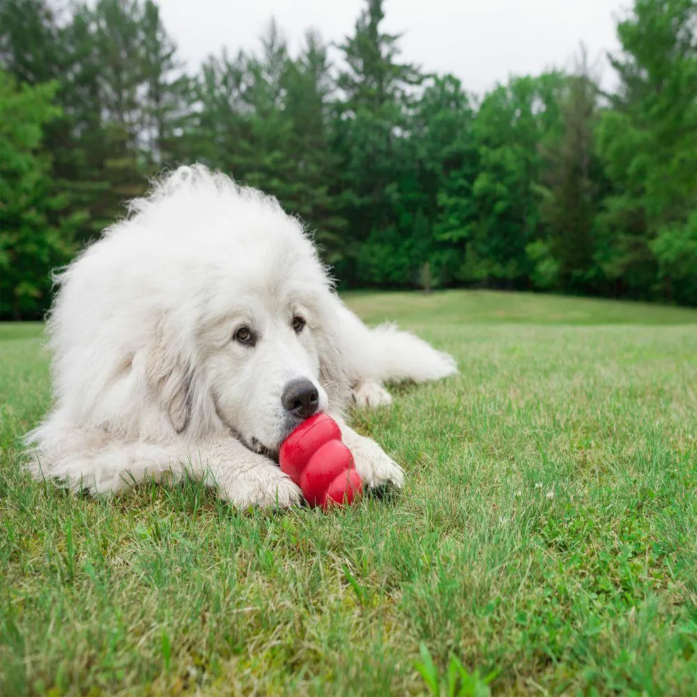 Kong Classic Chew Toys