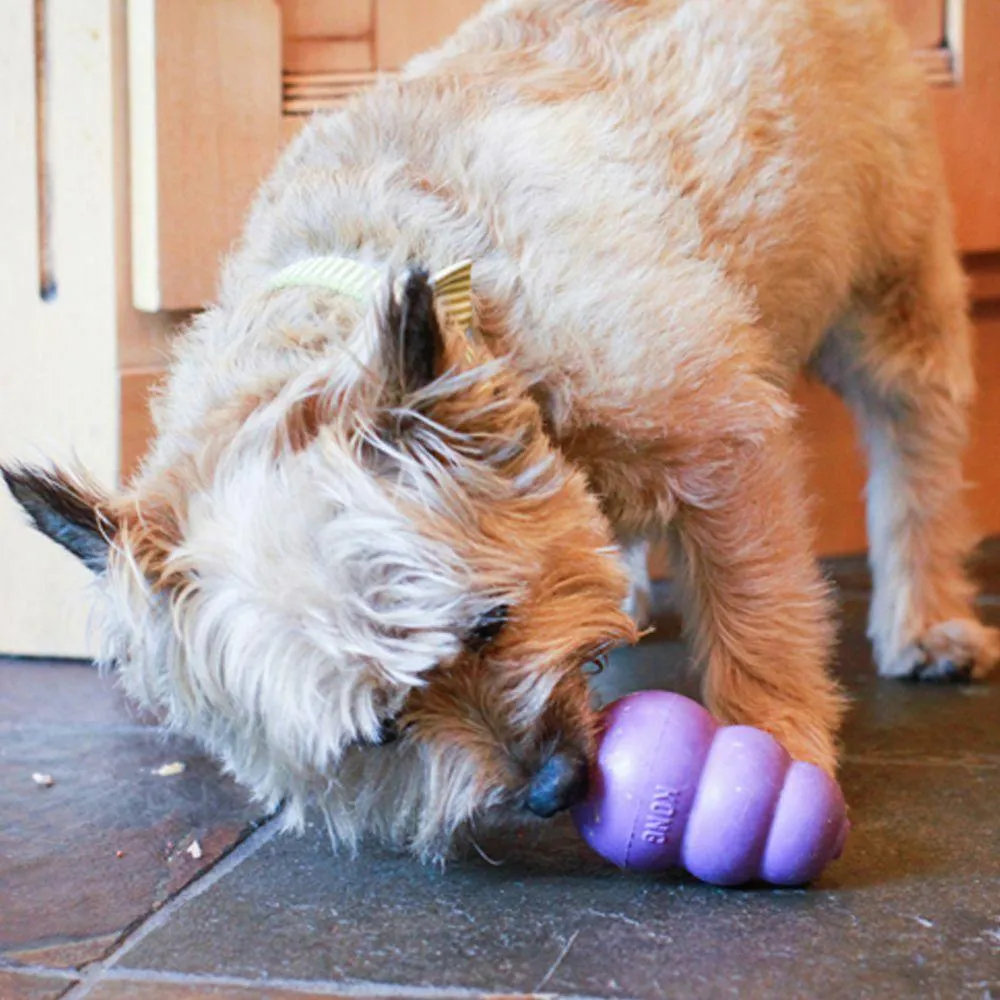 Kong Classic Chew Toys