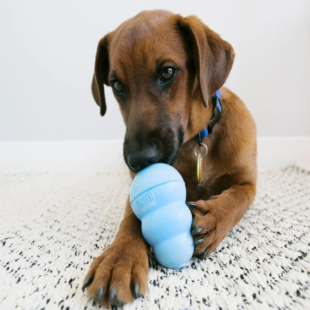 Kong Classic Chew Toys
