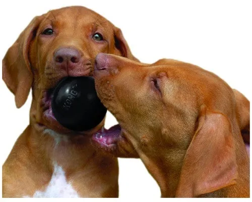 Kong Extreme Ball Dog Toy Black Medium / Large