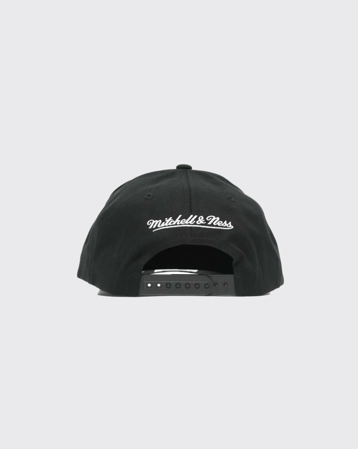 Mitchell and Ness Team Logo MVP Timber Wolves