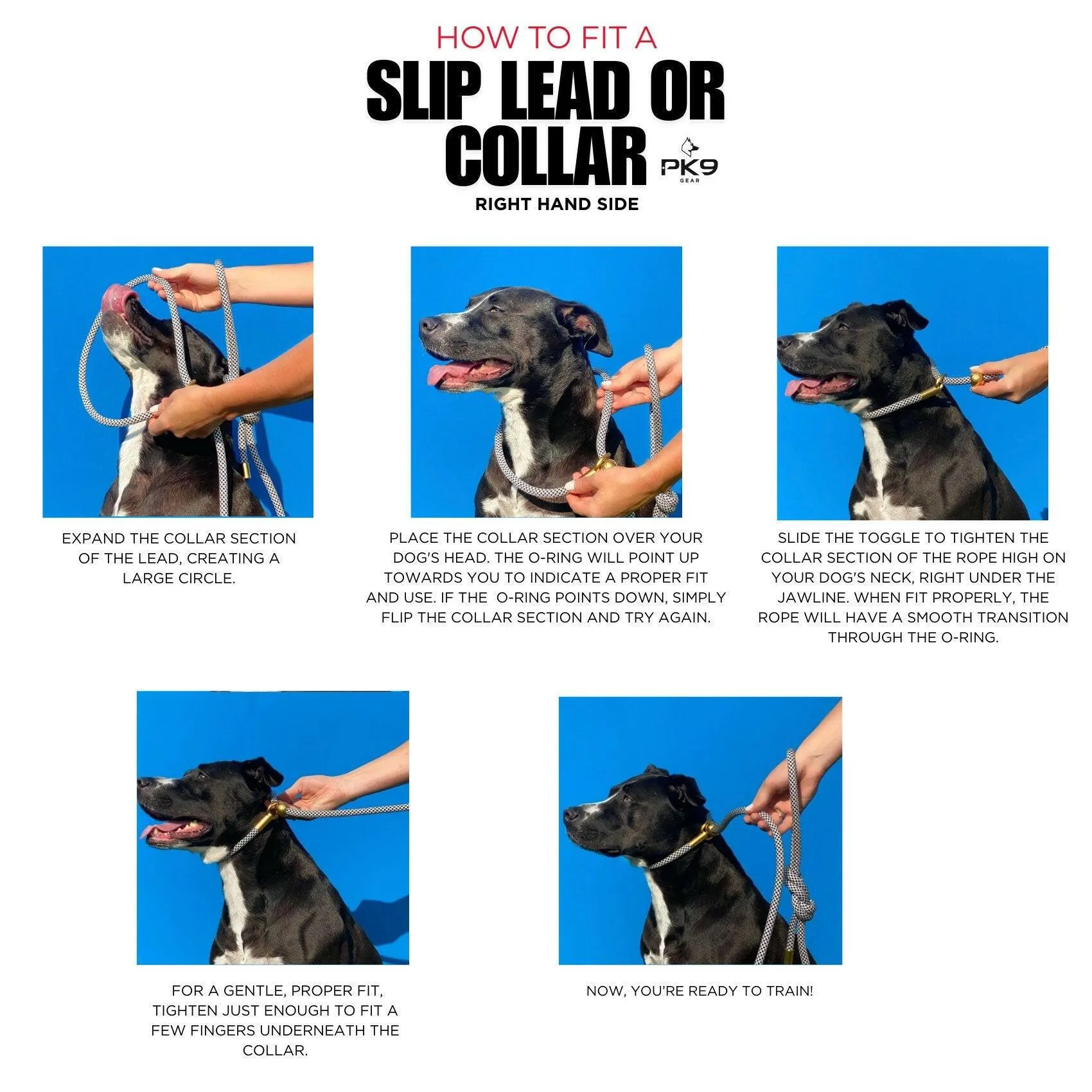 Slip Leash- 6ft/180 cm Lightweight 5mm Slip Lead
