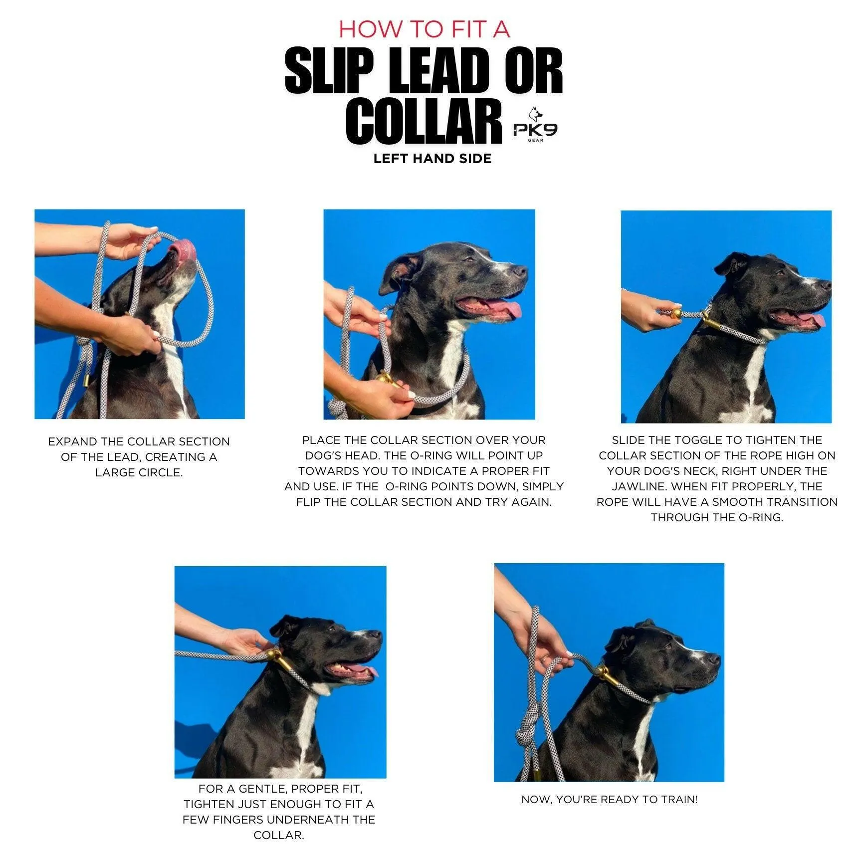Slip Leash- 6ft/180 cm Lightweight 5mm Slip Lead