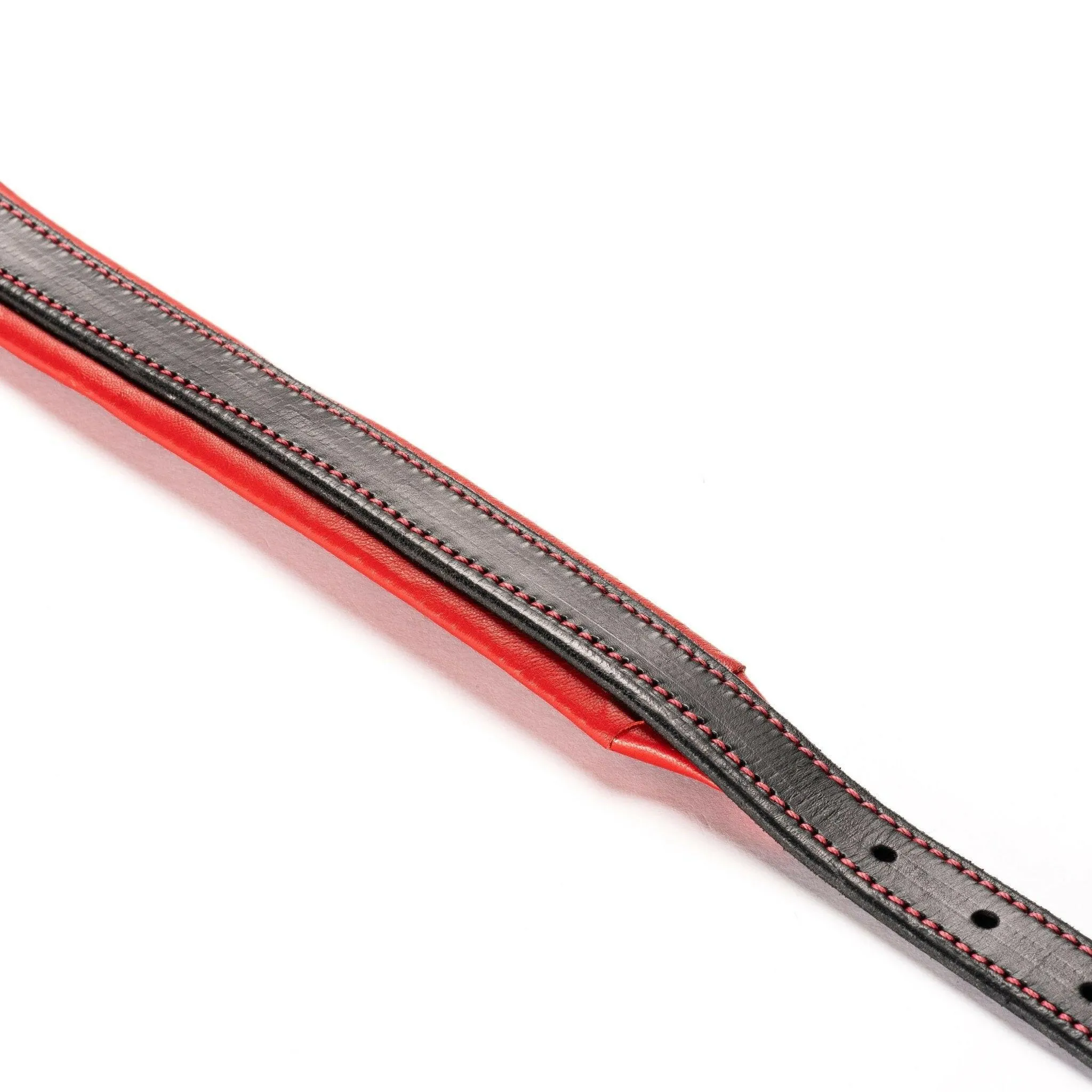 The Inferno Leather Dog Collar